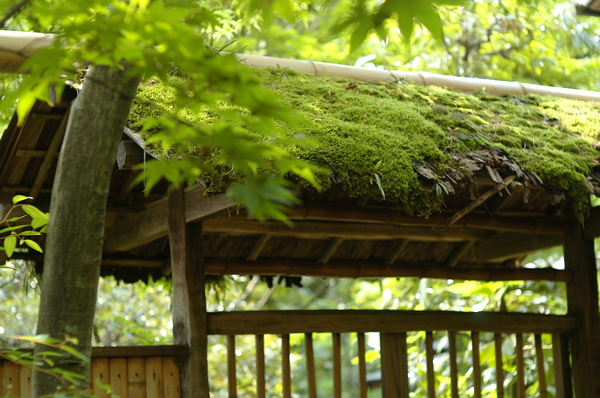 f0035343_2118059.jpg