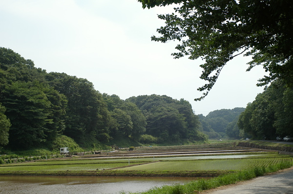 f0035343_21221044.jpg