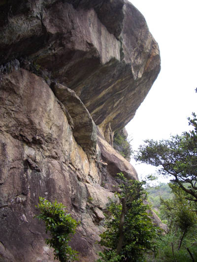 e0020945_12254254.jpg