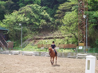 d0048350_21293412.jpg