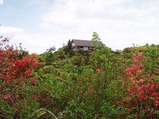 d0048350_2134540.jpg
