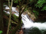 d0048350_22193874.jpg