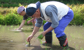 5月27日　11幕田植え_b0080054_11194150.jpg