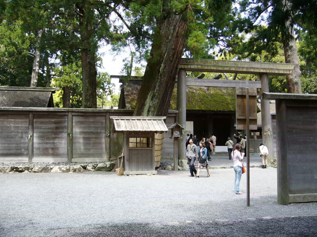 a0000667_1446.jpg