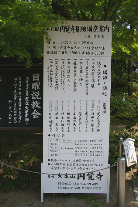 色づき始めた円覚寺のアジサイ（2006・5・29：暁天坐禅会）_c0014967_10471417.jpg