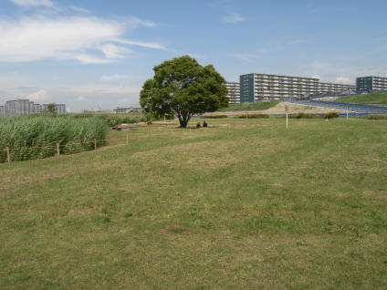 b0002879_21264227.jpg