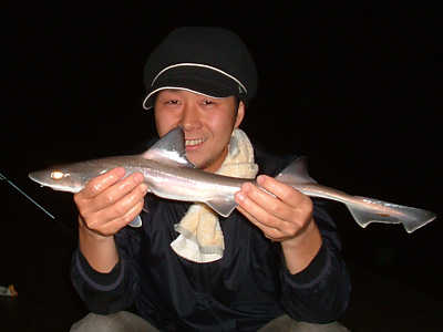 c0060593_21463913.jpg