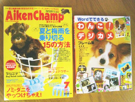 愛犬チャンプ　＆　ＰＶのＤＶＤ　/　Aiken Champ and PV_a0032004_19174629.jpg