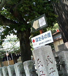 d0065116_22375043.jpg