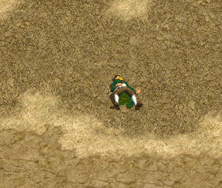 e0004726_1015496.gif