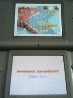 New スーパーマリオブラザーズ とりあえず全クリアじゃ!_a0033733_8572312.jpg
