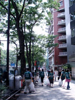 ＊ちいさなことから＊　　2006,5,29_a0030038_191653.jpg