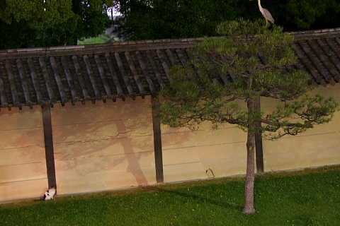 a0024250_2156420.jpg