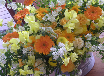 e0029053_5351559.jpg