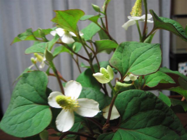 a0027555_23231350.jpg