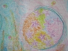 グループマンダラ_d0065558_9115971.jpg
