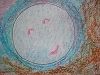 グループマンダラ_d0065558_9143960.jpg
