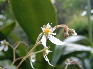 b0059860_12431551.jpg