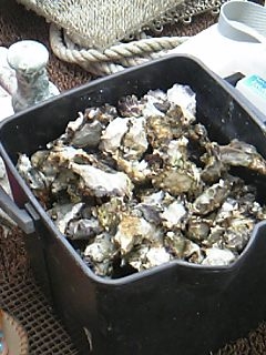 a0052473_08205.jpg