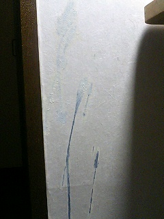 私の画力_b0019674_046233.jpg