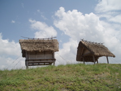 e0018374_9573134.jpg