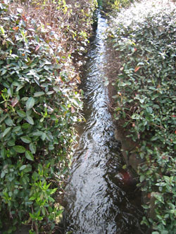 京の空の下 水は流れる_c0069903_7112047.jpg