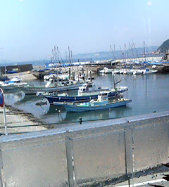 d0065116_20194590.jpg