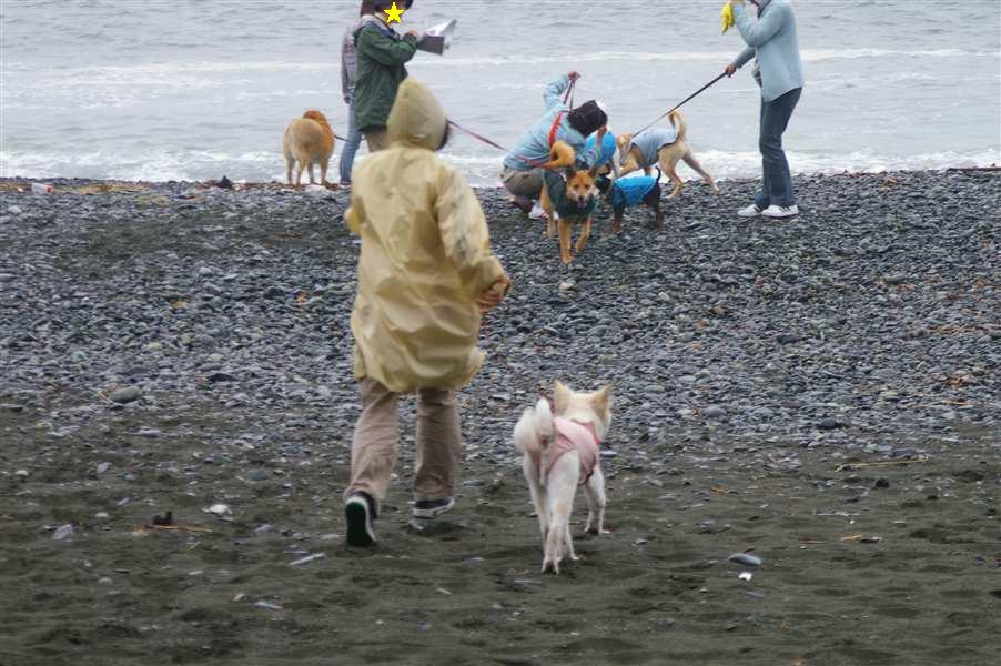 伊豆旅行－２日目　ゆかいな仲間たちと一緒に♪_d0046821_1427575.jpg