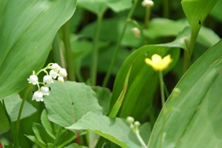 f0000330_23381220.jpg