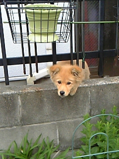 e0070554_22231150.jpg