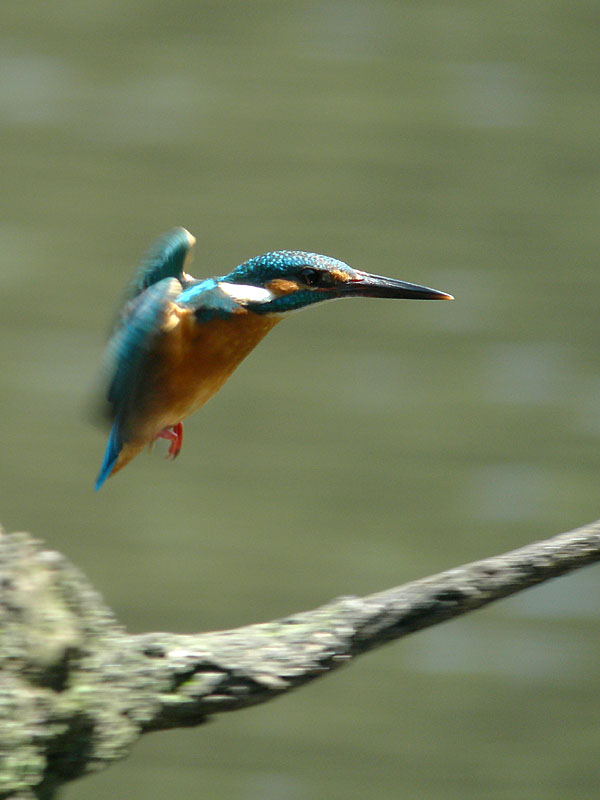 f0003418_23473828.jpg