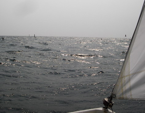 d0036225_21643.jpg