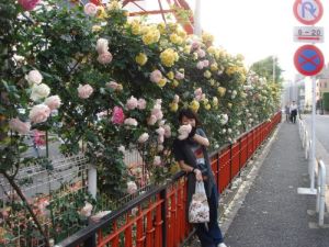 薔薇と東京タワーと薔薇と横浜と薔薇・・・・_a0060128_12445663.jpg