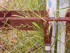 e0060452_2037413.jpg