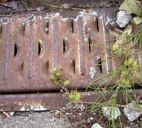e0060452_2039192.jpg