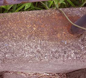 e0060452_2040497.jpg
