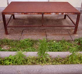 e0060452_204112.jpg