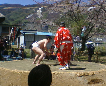 ５月３日（水曜日）芦田～和田_f0017780_0283688.jpg