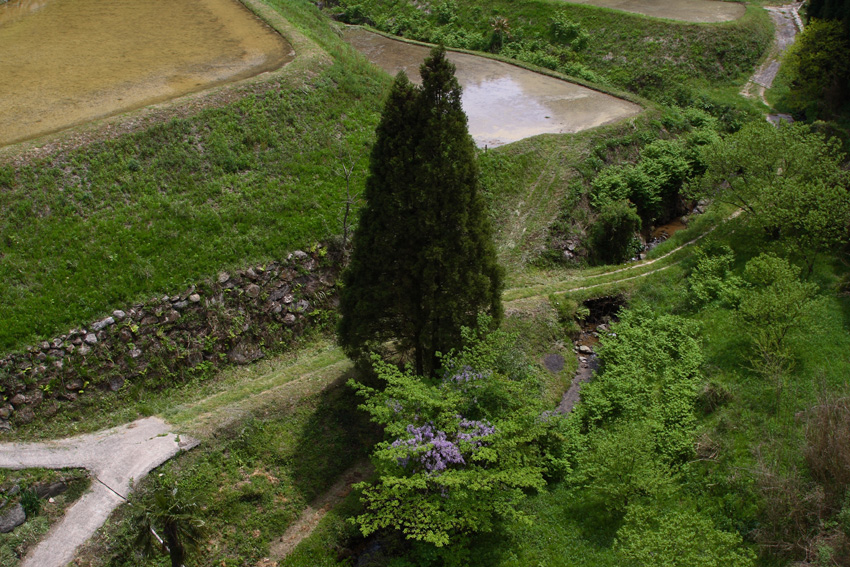 七山村～樫原～観音～土谷棚田、オフ会１_c0007190_20342440.jpg