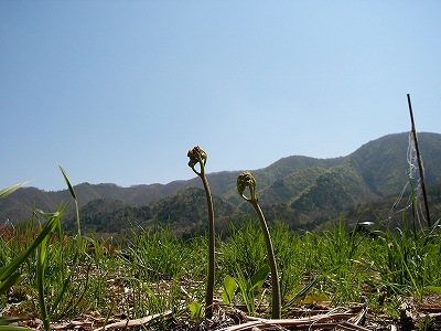 b0077405_1623371.jpg