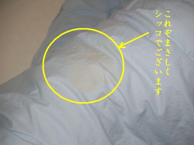 e0094407_0491229.jpg