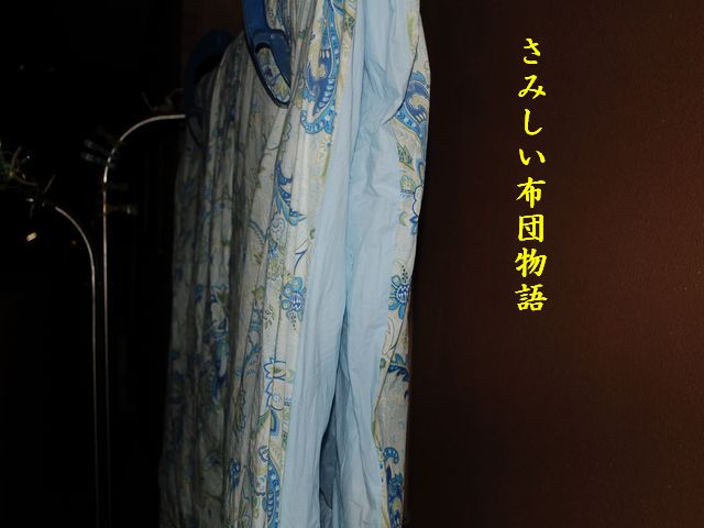 e0094407_1124292.jpg
