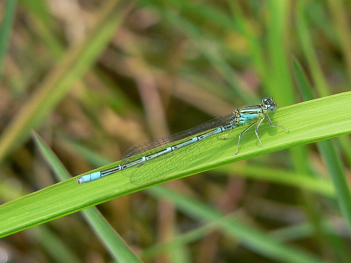 e0002314_19212368.jpg