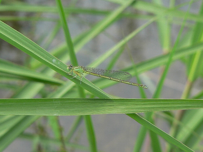 e0002314_1922336.jpg