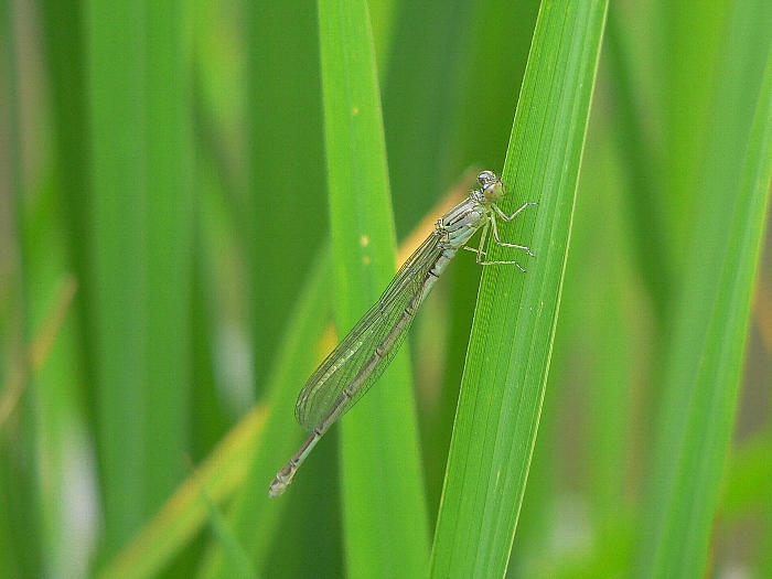 e0002314_19231065.jpg