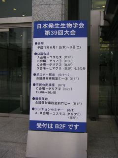 広島2日目_c0025115_0185676.jpg