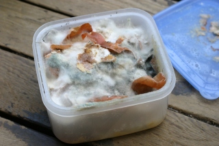 生ゴミ堆肥計画ですが ロッカー暮らしのベランダ育ち 野菜ジャンキーな日々