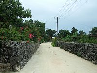 b0035763_17388.jpg