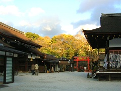 a0016177_123199.jpg