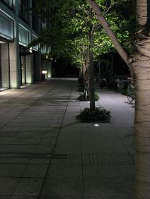 e0069895_2365962.jpg
